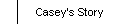 Casey's Story