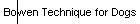 Bowen Technique for Dogs