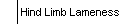 Hind Limb Lameness