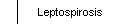 Leptospirosis