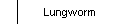 Lungworm