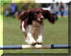 actionshots_bertiejumpingatpackington2000.jpg (27773 bytes)
