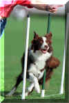 actionshots_leavingtheweaveatdaventry.jpg (52274 bytes)