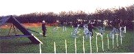 Queen Tether training