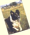 Undertanding Border Collies