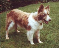 Trudie
