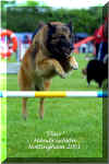 actionshots_nottingham2001_madiegibsonsflair_small.jpg (22851 bytes)