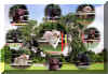 actionshots_steveandjeanrosecollage.jpg (21785 bytes)