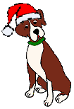 boxer Santa