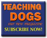 Teaching Dogs magazine link