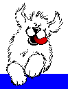 Jump for Joy Dog Agility Events Calendar