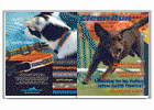 Clean Run subscriptions are available worldwide via digital delivery. The digital edition of the magazine contains the same content provided in our print publication. Each issue of Clean Run� magazine is packed with information on agility training. 

Try it before you buy it.