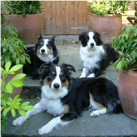 Trix, Babs & Belle