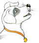 Sam