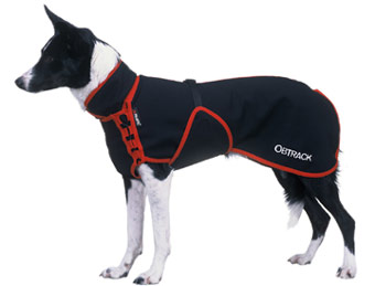 Link: Large picture of OBTRACKT Skrylle Dog Coat