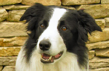 Bracken