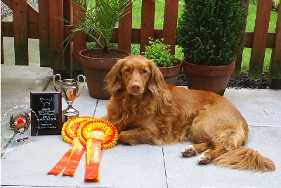 Minx with trophies