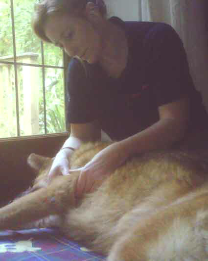 therapy