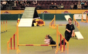 Daniel Croxford and Bailey