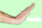 Deaf dog hand signals - Stay
