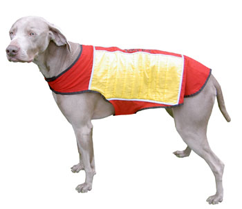Cooling Jacket