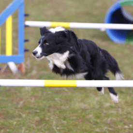 Ella jumping