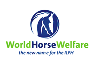 World Horse Welfare