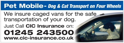 CIC Insurance advertisement - insure caged vans for safe transport of your dogs
