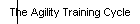 The Agility Training Cycle