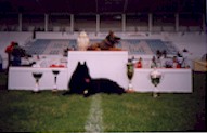 Turra, the team champion, handled by Mrio Duarte.