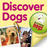 Discover Dogs 2007