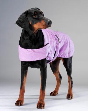 Keep Cool Dog Coat