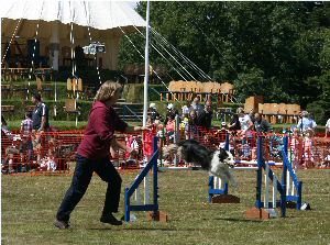 You can see Tynwald Hill behind the agility demo.  Tynwald Day is our national day and usually falls on 5th July, it is held at Tynwald Hill in St Johns and celebrates the Isle of Mans unique parliamentary democracy and national pride with a compelling mix of tradition, entertainment and attractions.