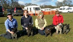 Scottish Cairns with their owners