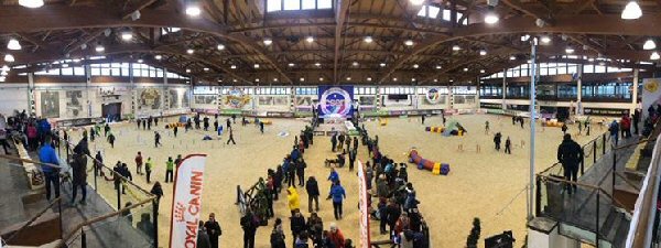 The incredible indoor facility at the venue in Cattolica which hosted most of the senior events as well as a couple of junior and childrens events over the 4 days.
