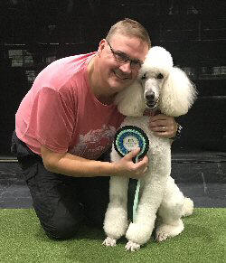 poodle crufts