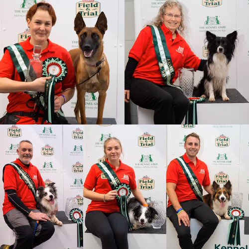 crufts qualifying shows 2019