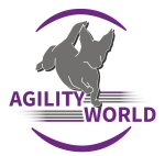 Your one stop Agility Shop
